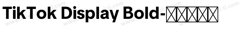 TikTok Display Bold字体转换